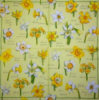 184 Narzissen - 3 lagig -